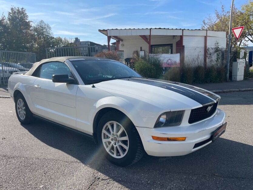 Mustang