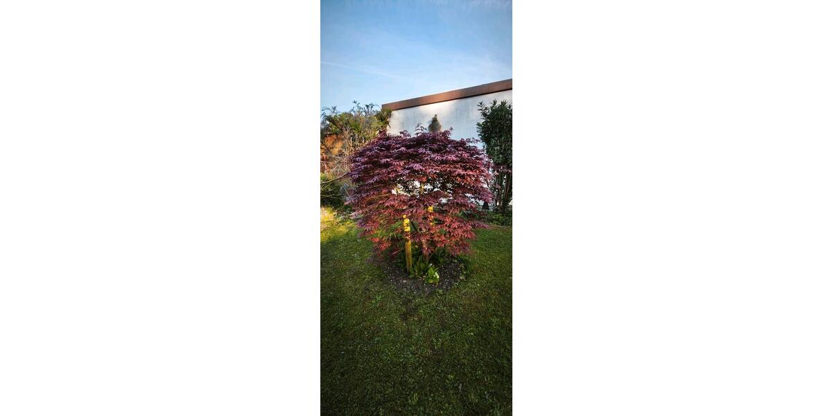 Bungalow Neuhausen - 3 Zimmer, 70 m&sup2;, 320.000&euro; | Angebot:26522170