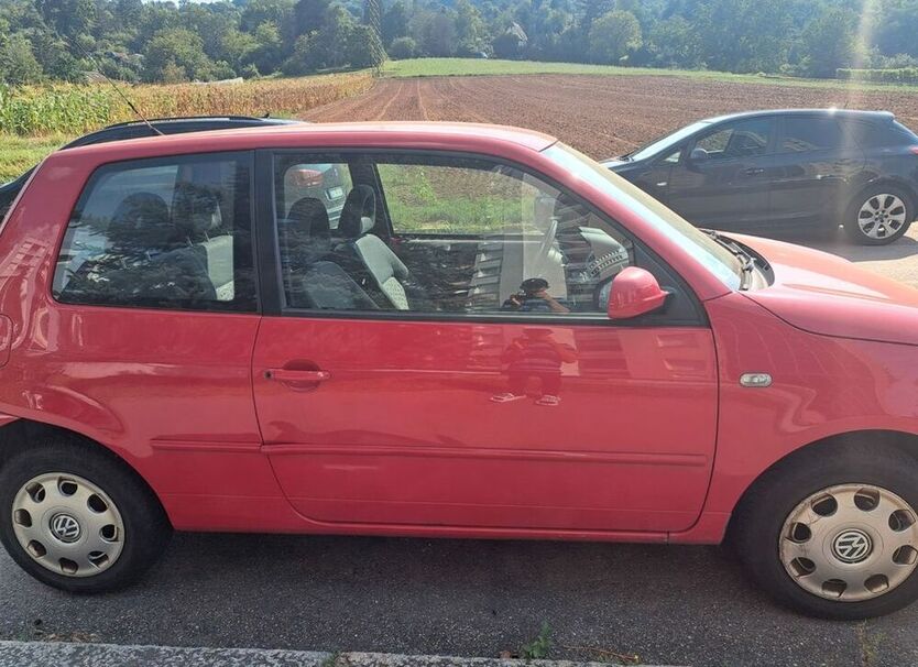 Lupo