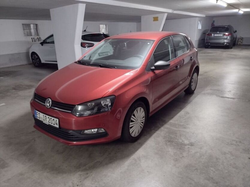 Polo