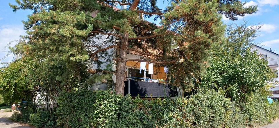 Dachgeschoßwohnung Aichtal - 2 Zimmer, 53 m&sup2;, 125.000&euro; | Angebot:26804420