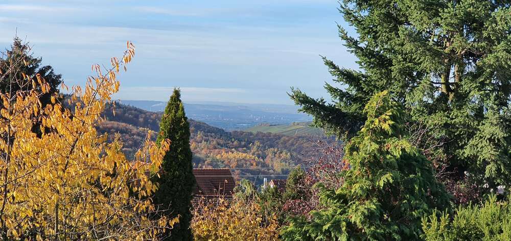 Grundstück zu verkaufen in Winnenden 750.000 € 920 m²