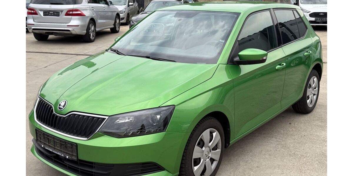 Skoda Fabia 77.000 km 6.990 &euro; Metzingen 72555