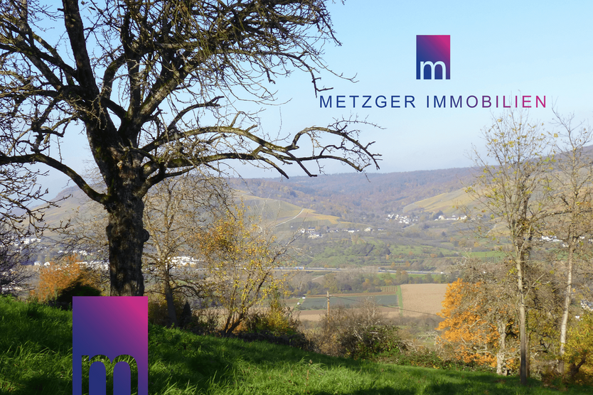 Grundstück zu verkaufen in Weinstadt 49.000 € 739 m²