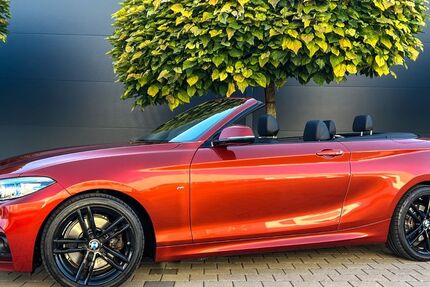 BMW 230 51.450 km 29.750 € Benningen 71726