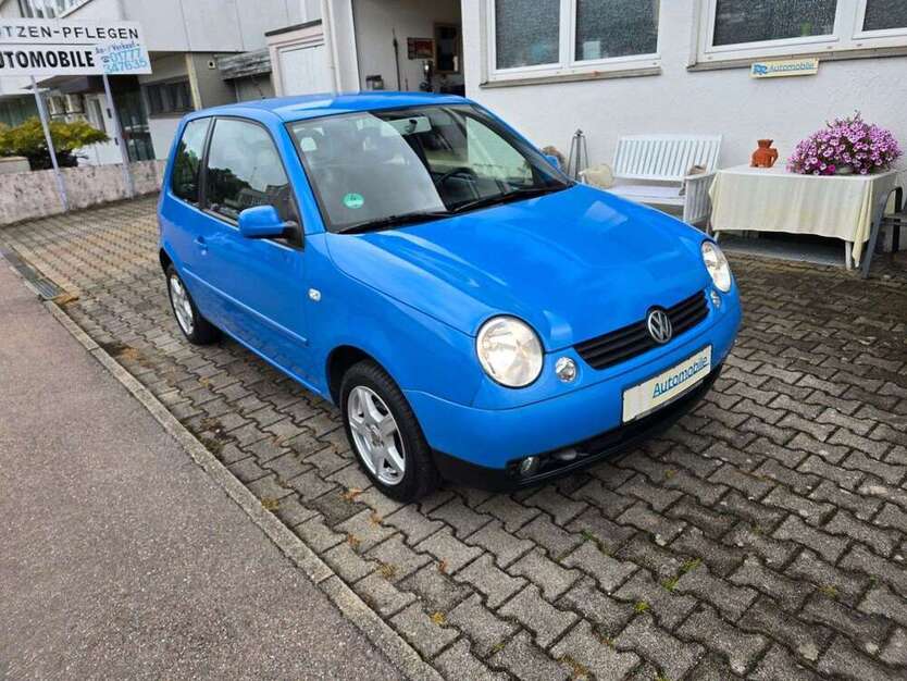 Lupo