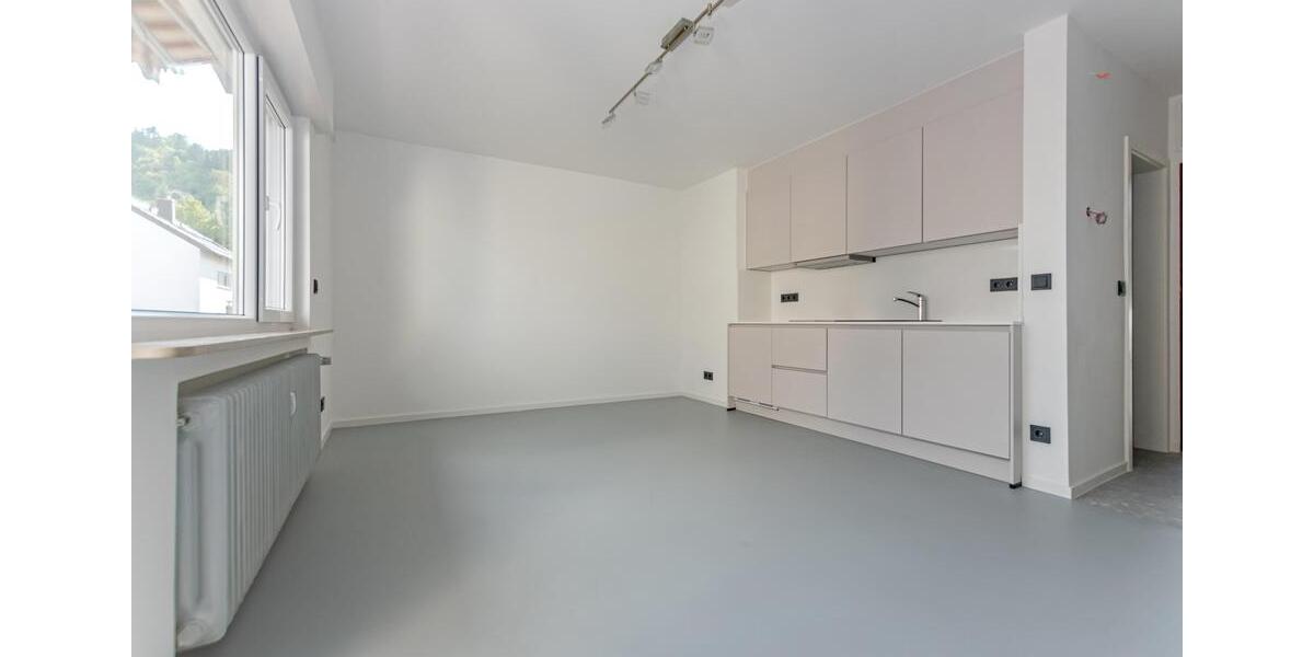 Stilvolle 1-Zimmer-Wohnung mit großem Balkon & neuer Küche in ruhiger Lage von Stuttgart-Wangen 1 zimmer