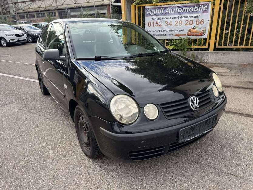 Polo