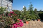 Bungalow Aichwald - 6 Zimmer, 140 m&sup2;, 680.000&euro; | Angebot:26227023
