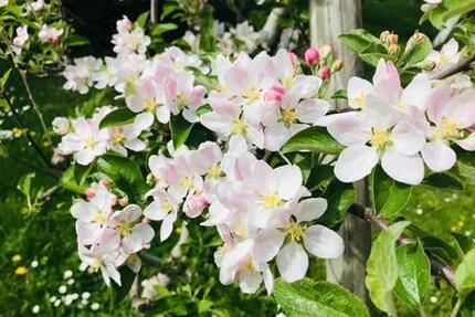 Grundstück Stuttgart Lehen - 100&euro; | Angebot:22303411