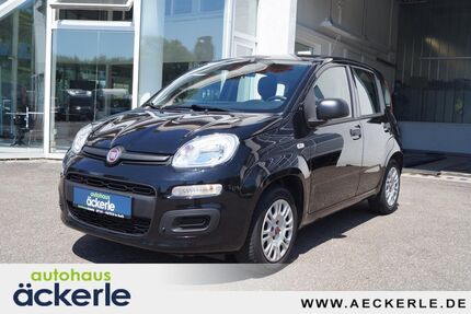 Fiat Panda 36.100 km 10.490 &euro; Korb 71404