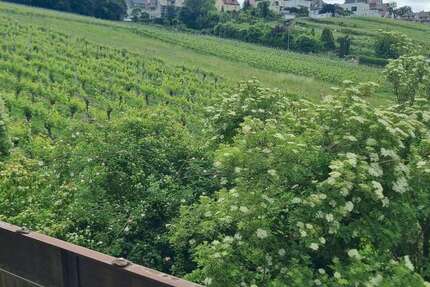 Wohnung Stuttgart Luginsland - 3 Zimmer, 66 m&sup2;, 210.000&euro; | Angebot:26829478
