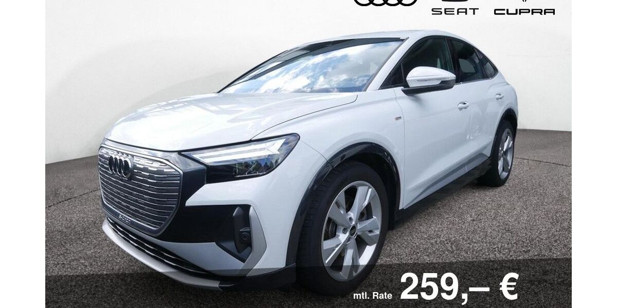 Audi Q4 e-tron 53.300 km 27.370 &euro; Bietigheim-Bissingen 74321