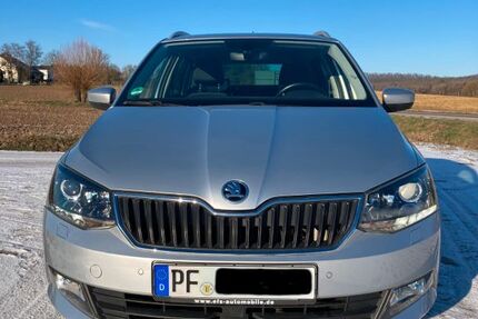 Skoda Fabia 107.000 km 10.999 &euro; Illingen 75428