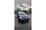 Punto Evo