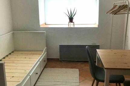 Kleine 1-Zi. Wohnung, ideal für Pendler und Studenten 1 zimmer