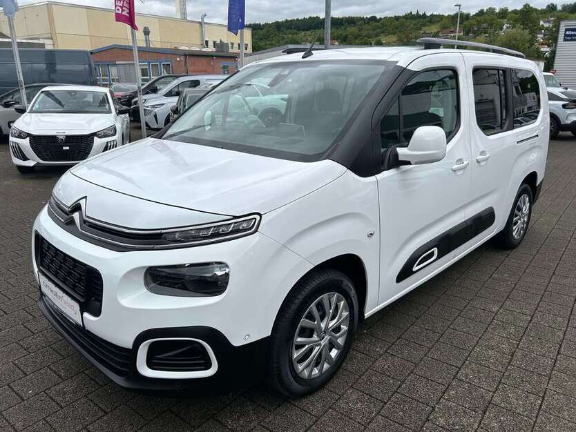 Berlingo