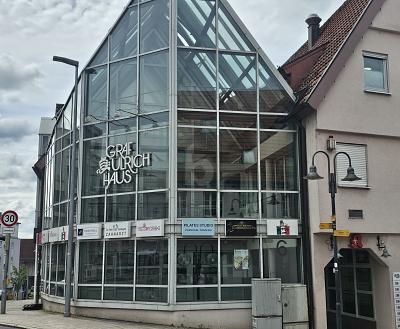 COOLE BAR IN TOP-LAGE - Gewerbeobjekt Leonberg | Angebot:26378426