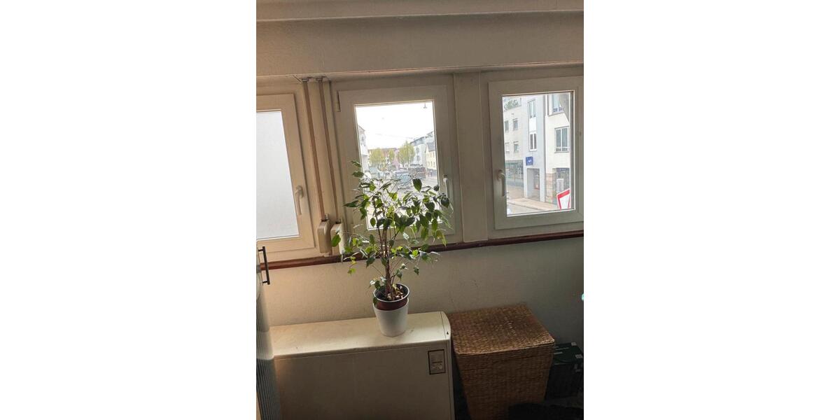 Etagenwohnung Fellbach Oeffingen - 1 Zimmer, 17 m&sup2;, 550&euro; | Angebot:26099233