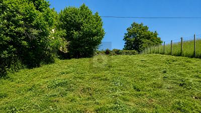 BLICK ÜBER TÜBINGEN - Grundstück Tübingen Schönblick / Winkelwiese | Angebot:27145409