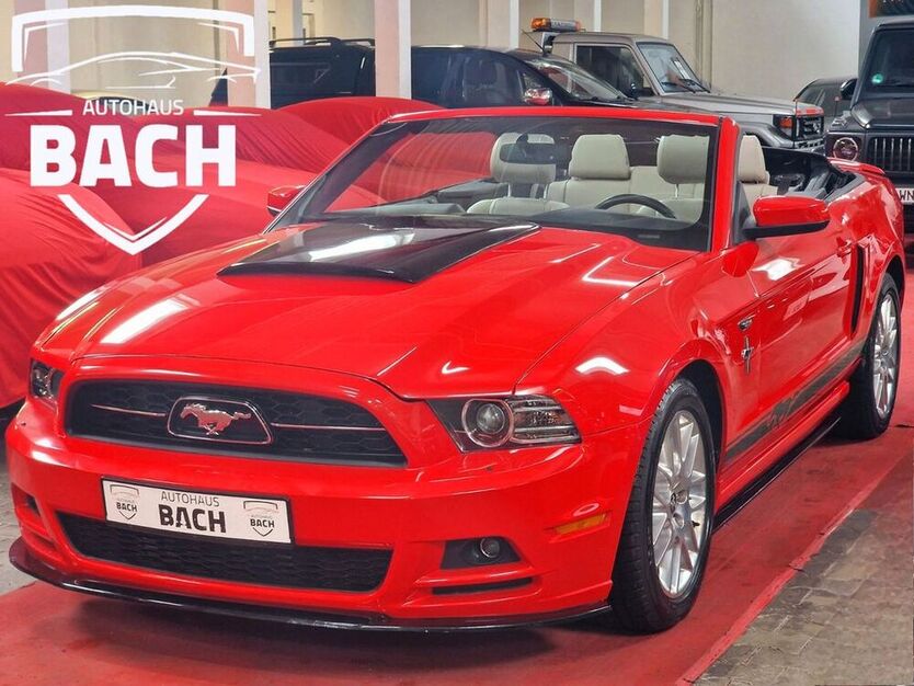 Mustang