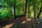 ** Unberührte Natur in bester Lage - 5 Grundstücke **