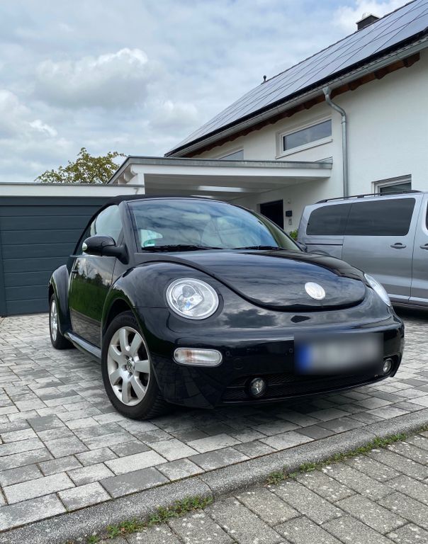 Beetle