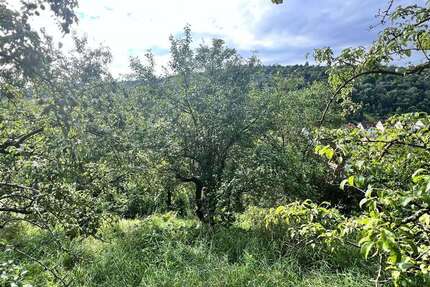 Grundstück zu verkaufen in Stuttgart 19.500 € 878 m² zimmer