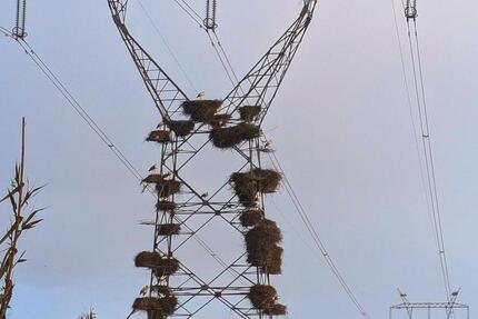 Haus Nufringen - 7 Zimmer, 120 m&sup2;, 580.000&euro; | Angebot:24431950