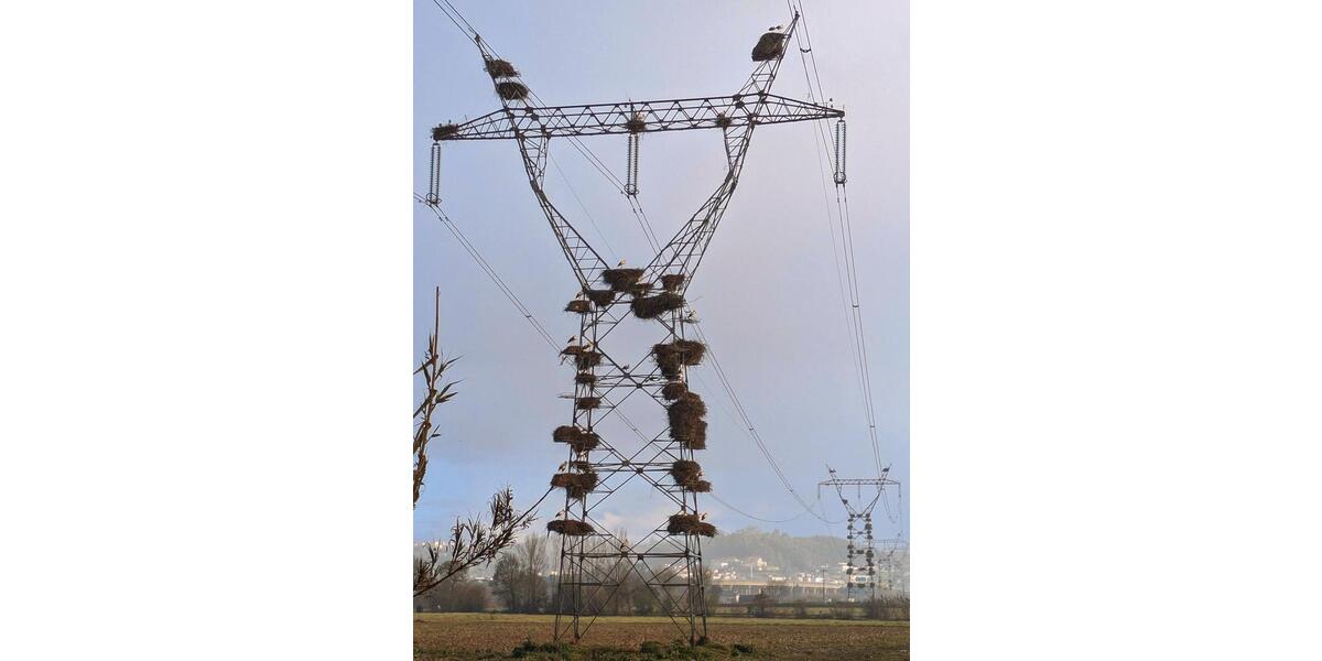 Reihenhaus Nufringen - 7 Zimmer, 120 m&sup2;, 580.000&euro; | Angebot:24431950