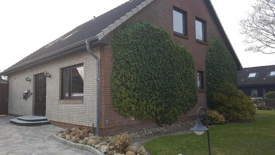 3-Zimmer-Erdgeschosswohnung EBK, Garten in Meldorf 3 zimmer