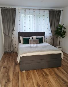 RUHE GENIEßEN, LICHT ERLEBEN - Erdgeschoßwohnung Sindelfingen Eichholz | Angebot:26151277