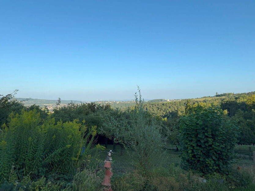 Gartengrundstück in Ostfildern - Ruit mit 9,9 a zu verkaufen