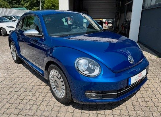 Beetle