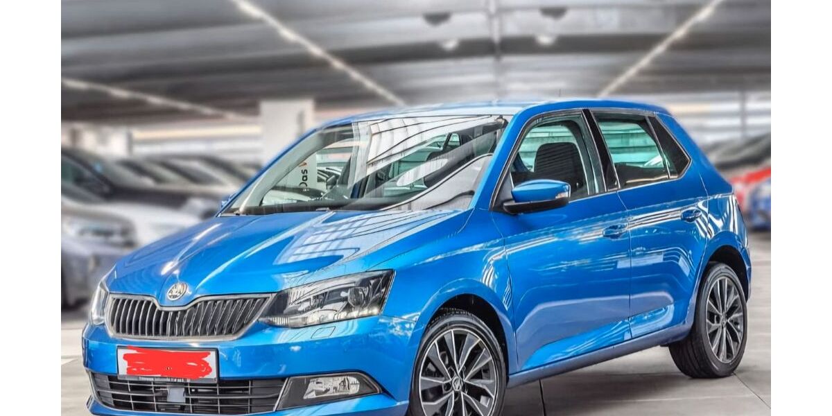 Skoda Fabia 88.000 km 10.600 &euro; Wernau 73249