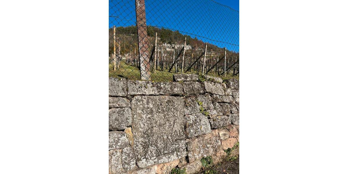 Grundstück Tübingen - 55.000&euro; | Angebot:24101823