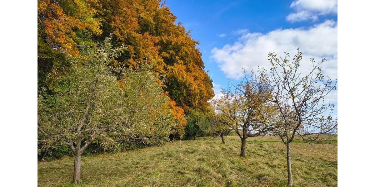 Grundstück Schorndorf - 43.200&euro; | Angebot:26359020
