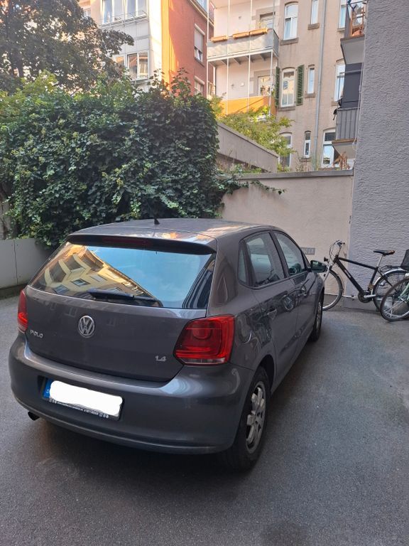Polo