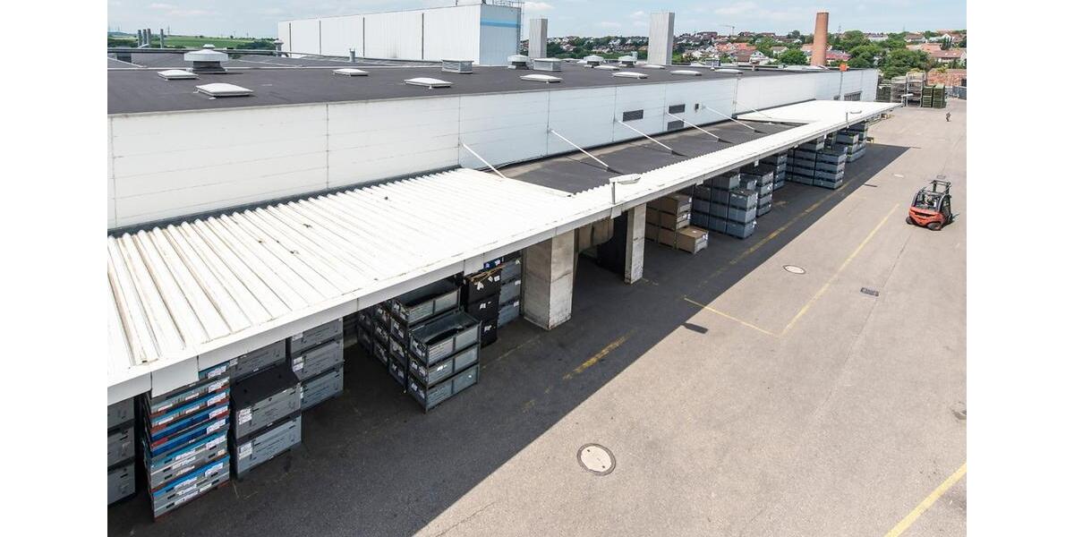 Vielseitig nutzbarer Hallenkomplex mit ebenerdiger Andienung und Büroanteil! zimmer