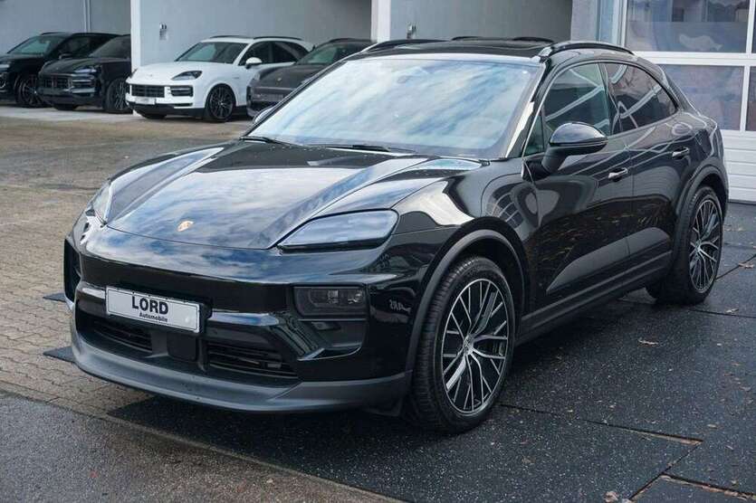 Macan