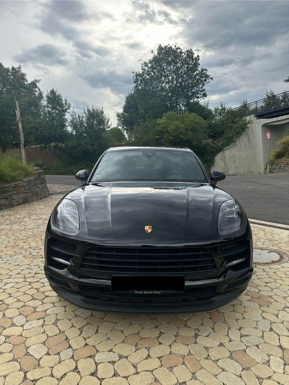 Macan