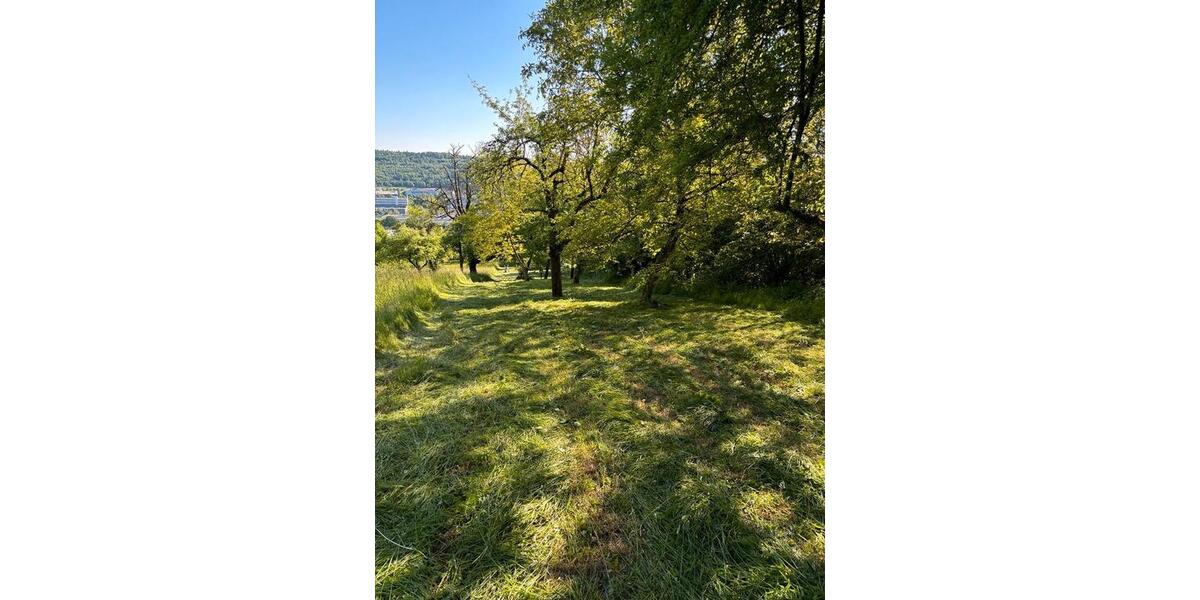 Grundstück Esslingen am Neckar Oberesslingen - 200&euro; | Angebot:23685293