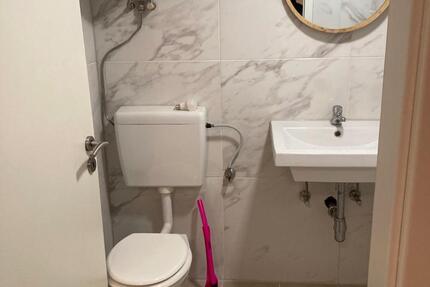 Frisch renovierte 1-Zimmer Wohnung im EG in Marbach am Neckar 1 zimmer