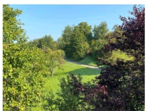 Doppelhaushälfte mit Garten MiedelsbachSchorndorf Randlage 6 zimmer