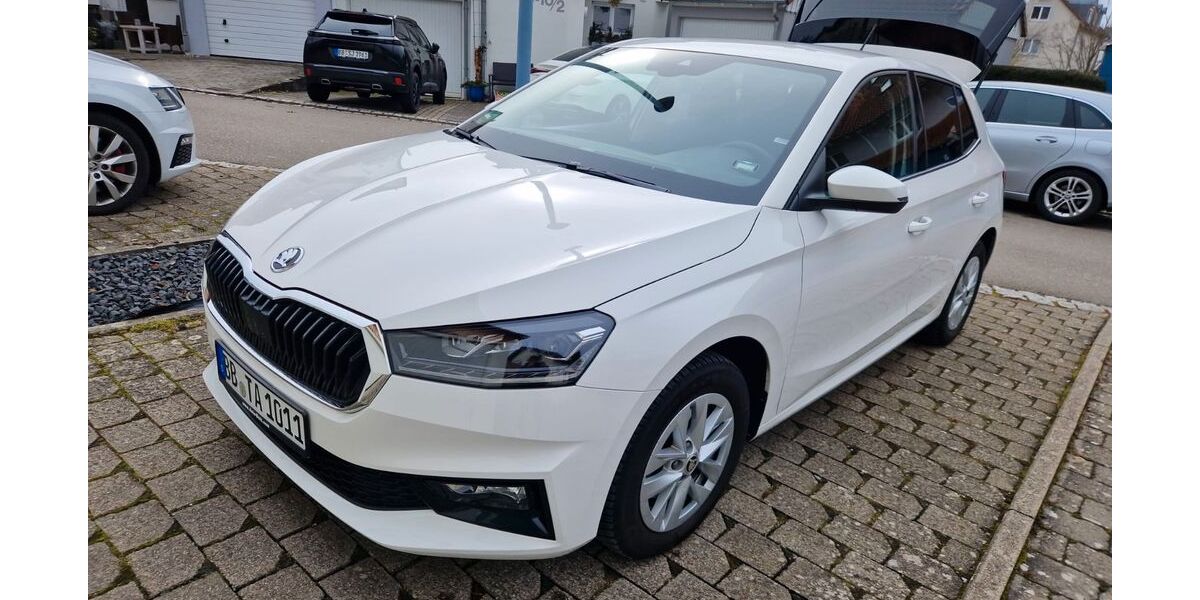 Skoda Fabia 9.100 km 18.000 &euro; Ehningen 71139