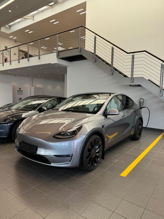 Model Y