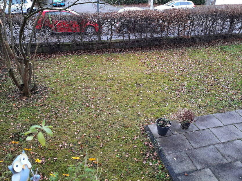 Helle Wohnung mit Garten - Einzug nach 3 Monaten Kündigungsfrist