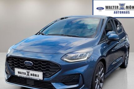Ford Fiesta 20.000 km 17.470 € Aspach 71546