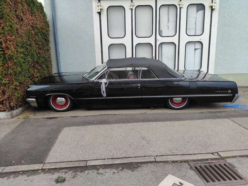 Impala