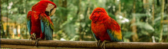 Wilhelma – Zoologisch-Botanischer Garten Stuttgart